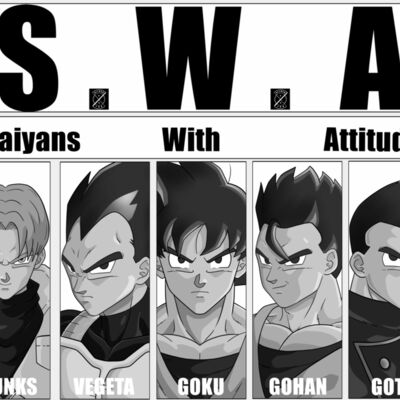 SWA Thumbnail